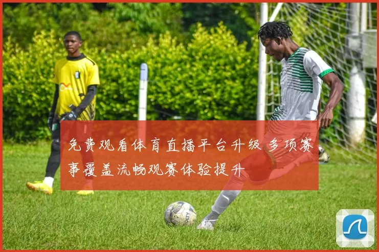 免费观看体育直播平台升级 多项赛事覆盖流畅观赛体验提升