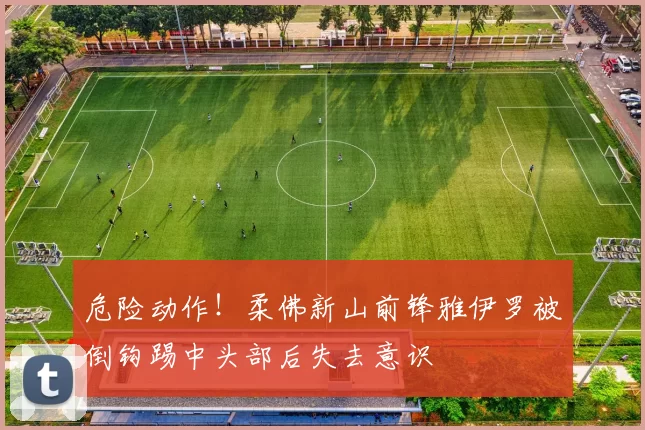 危险动作！柔佛新山前锋雅伊罗被倒钩踢中头部后失去意识