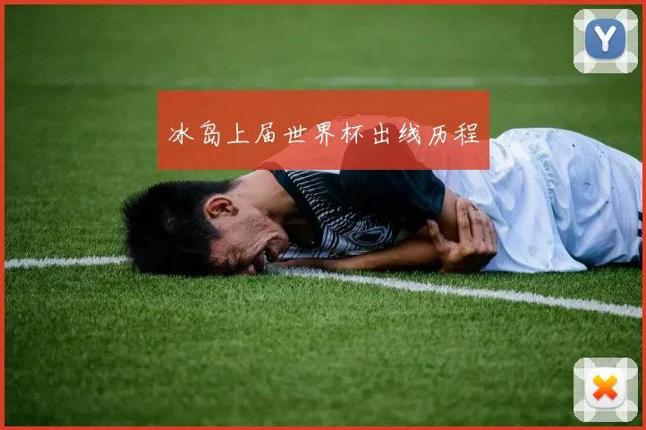冰岛上届世界杯出线历程