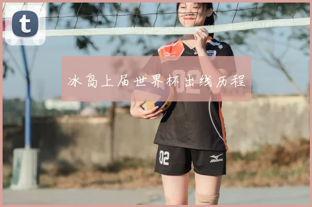 冰岛上届世界杯出线历程